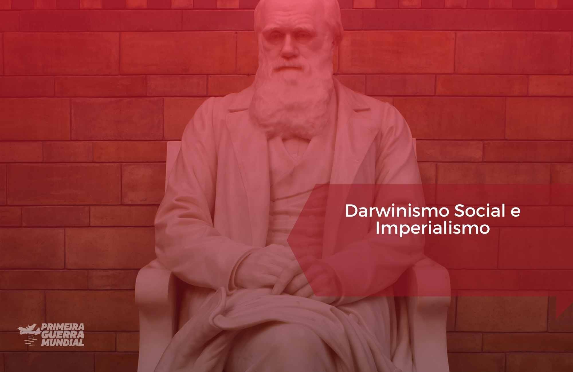 O que é o Darwinismo Social e sua influência durante a Primeira Guerra?